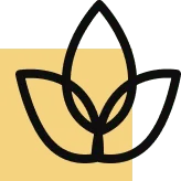 Best View Guaranteed