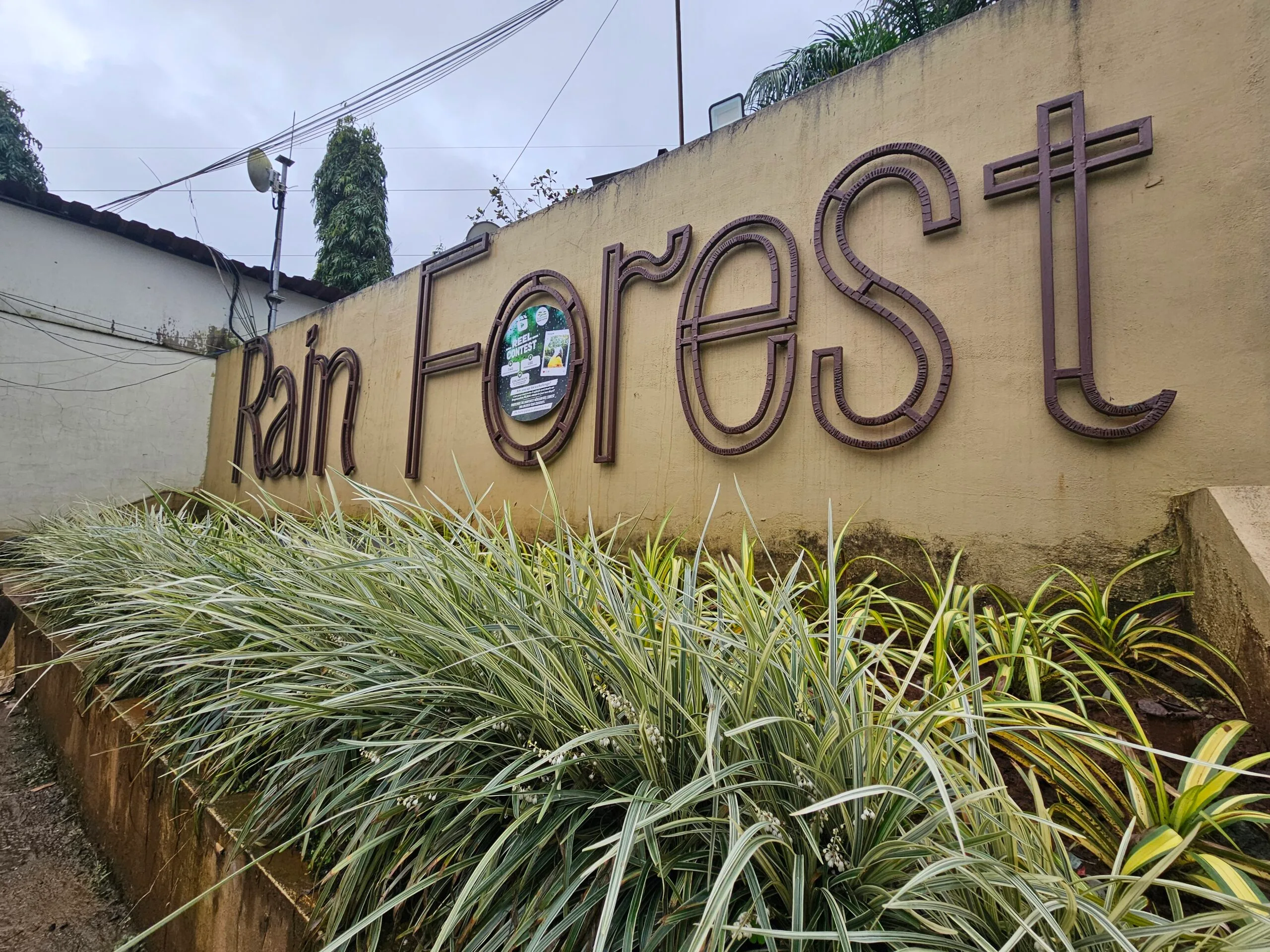 Exterior view of the resort, showcasing its beautiful architecture surrounded by nature.